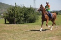 MAT_4245