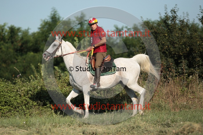 IMGB1810.JPG