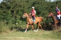 IMGB1773