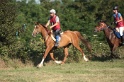 IMGB1775