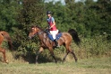 IMGB1776