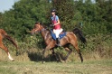 IMGB1778
