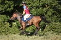 IMGB1790