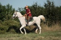 IMGB1808