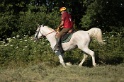 IMGB1823