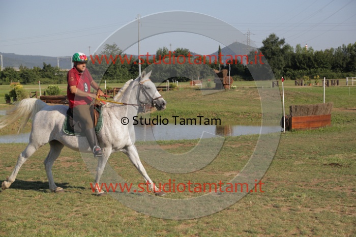 MAT_3362.JPG