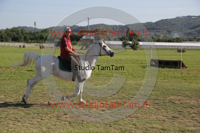 MAT_3369.JPG