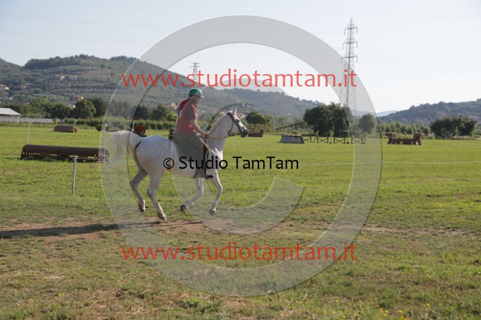 MAT_3373.JPG