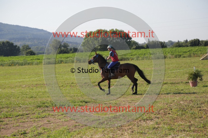 MAT_3375.JPG