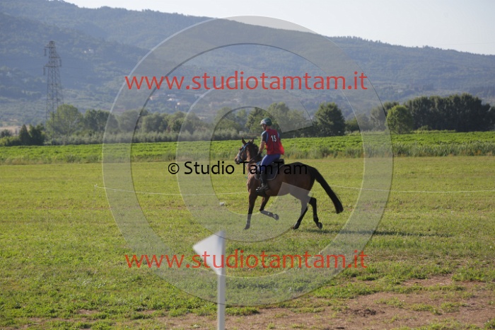 MAT_3381.JPG