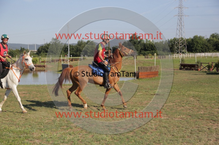 MAT_3386.JPG