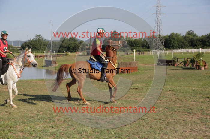MAT_3387.JPG