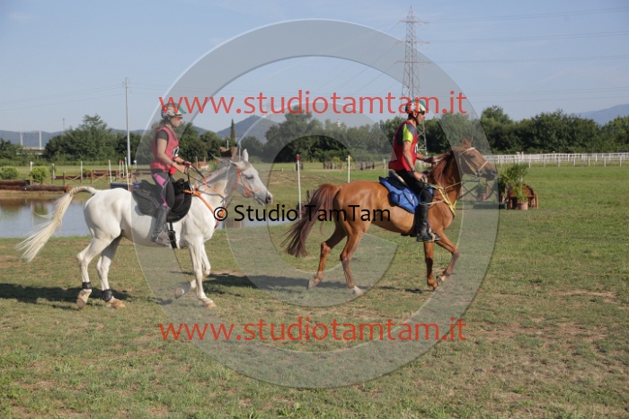 MAT_3388.JPG