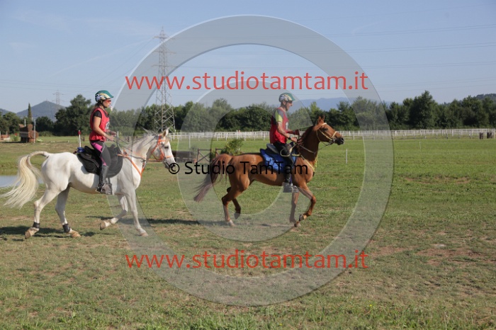 MAT_3390.JPG