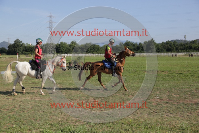 MAT_3391.JPG