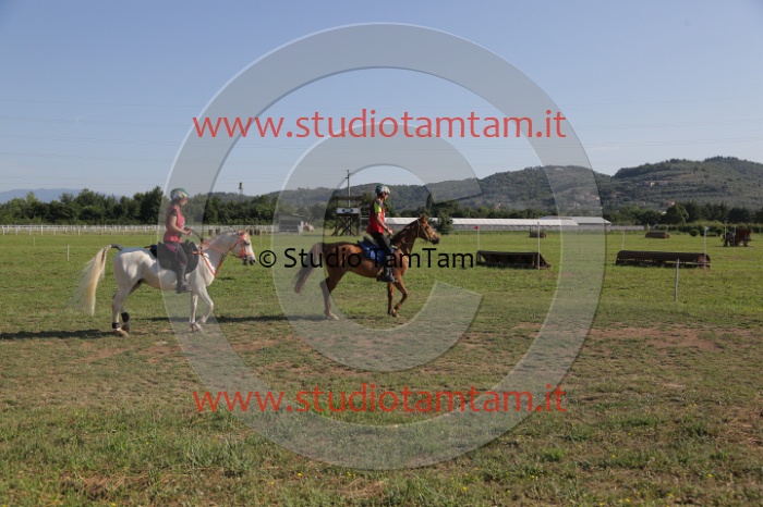 MAT_3396.JPG