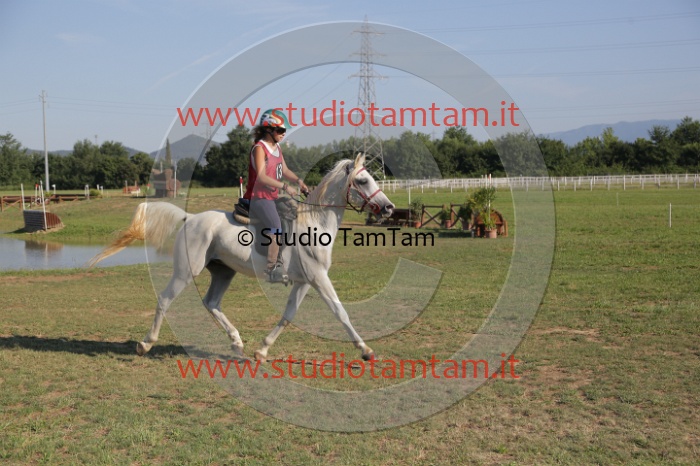 MAT_3404.JPG