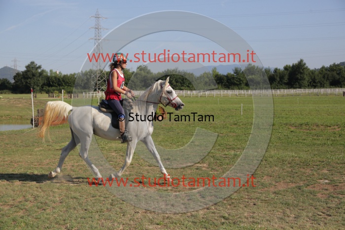 MAT_3406.JPG