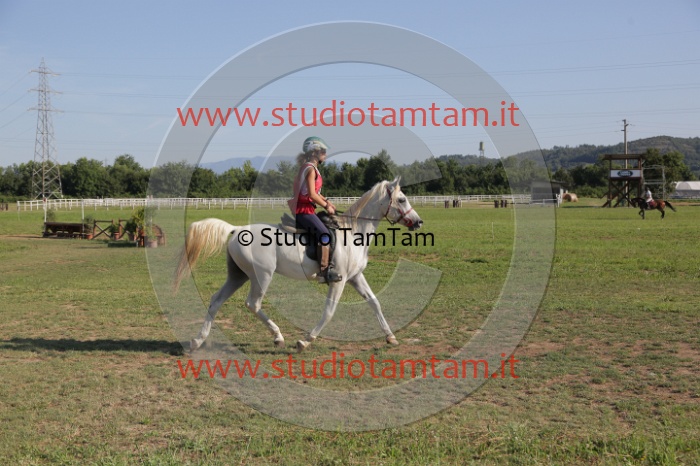 MAT_3408.JPG