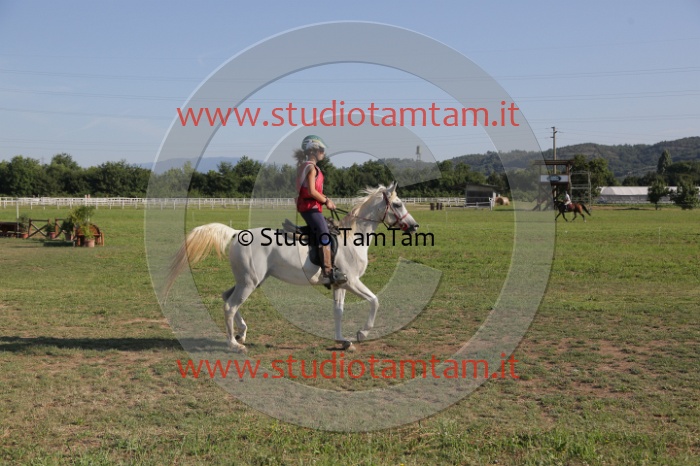 MAT_3409.JPG
