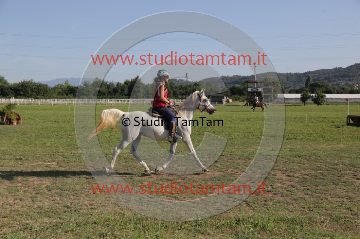 MAT_3410.JPG