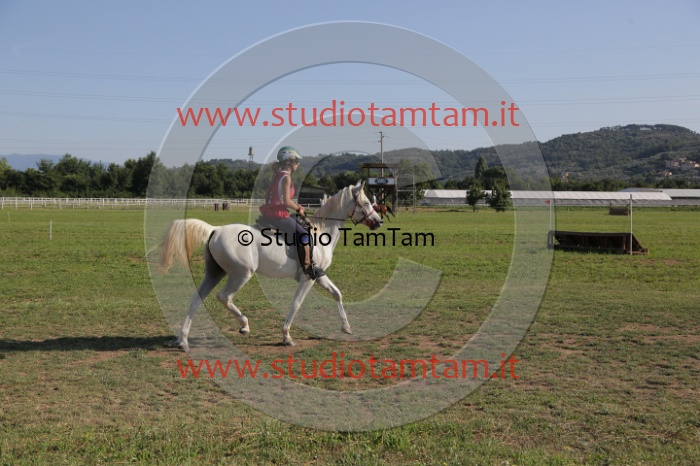 MAT_3411.JPG