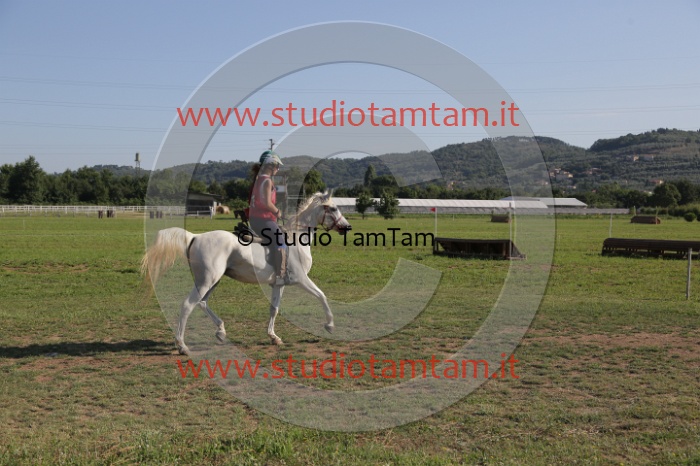 MAT_3412.JPG