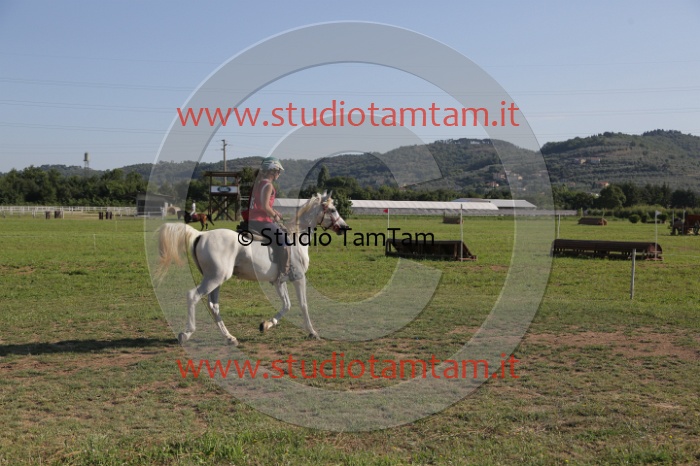 MAT_3413.JPG