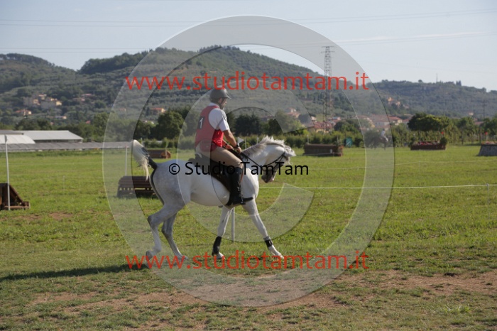 MAT_3453.JPG