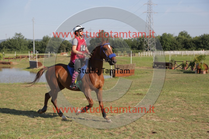 MAT_3457.JPG