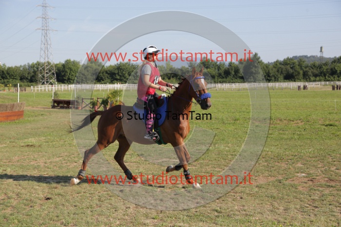 MAT_3460.JPG