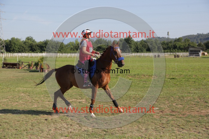 MAT_3461.JPG