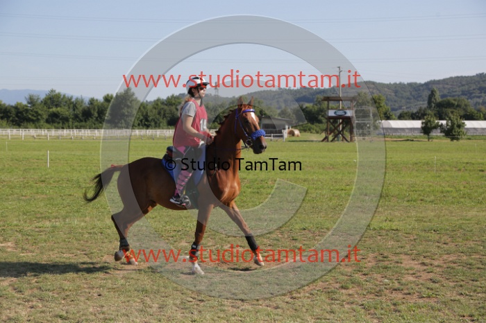 MAT_3463.JPG
