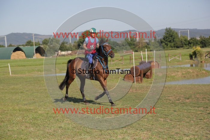 MAT_3467.JPG