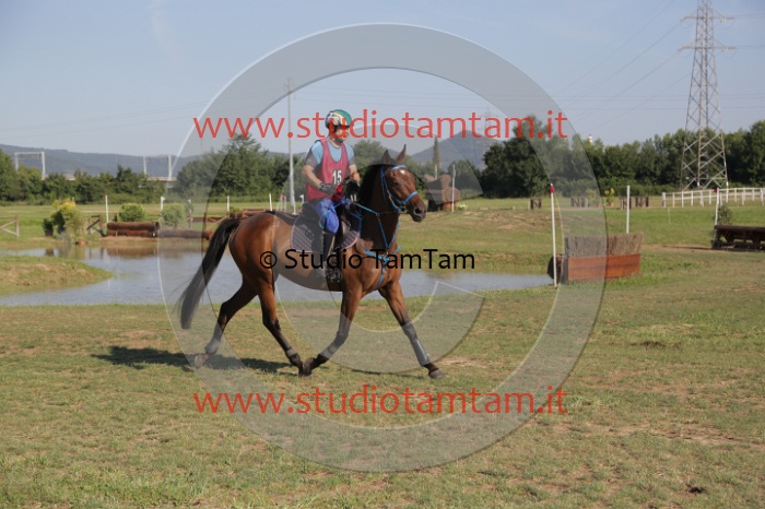 MAT_3472.JPG
