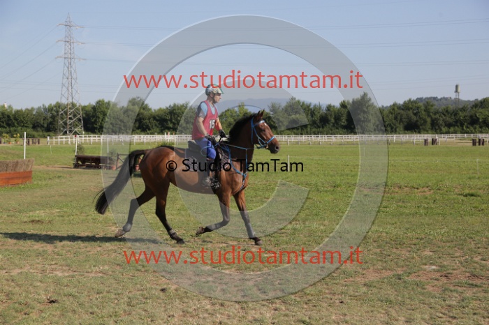 MAT_3477.JPG