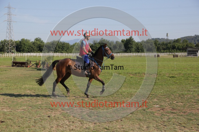 MAT_3478.JPG