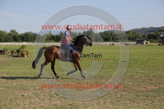 MAT_3479.JPG