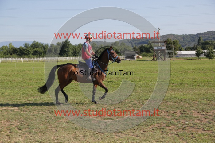 MAT_3480.JPG