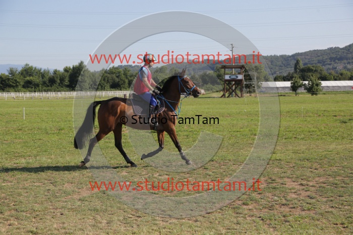 MAT_3481.JPG