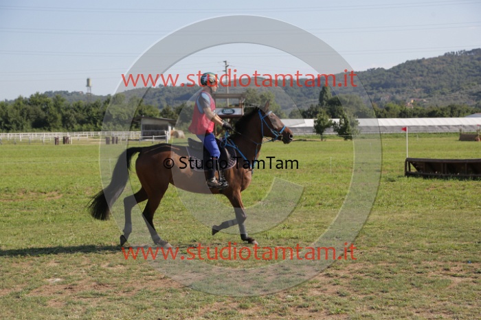 MAT_3482.JPG