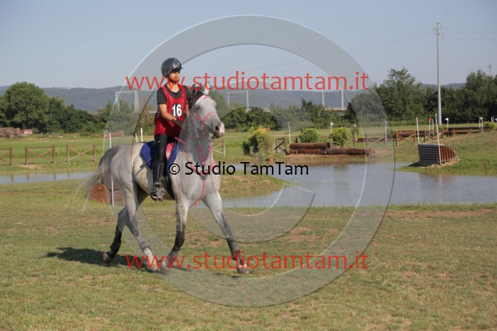 MAT_3488.JPG
