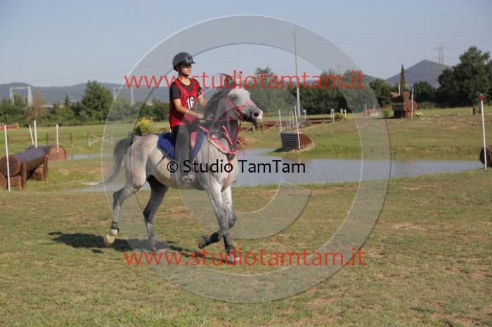 MAT_3489.JPG