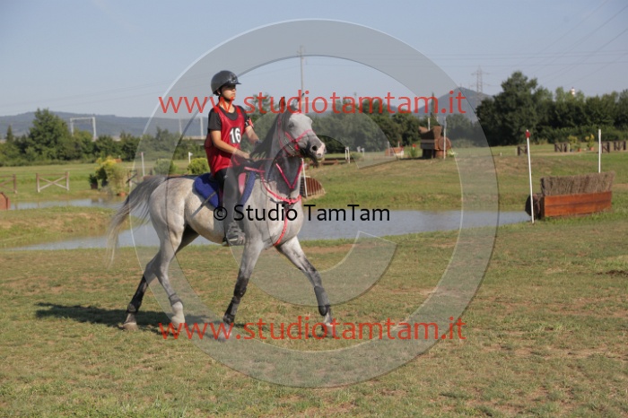 MAT_3490.JPG