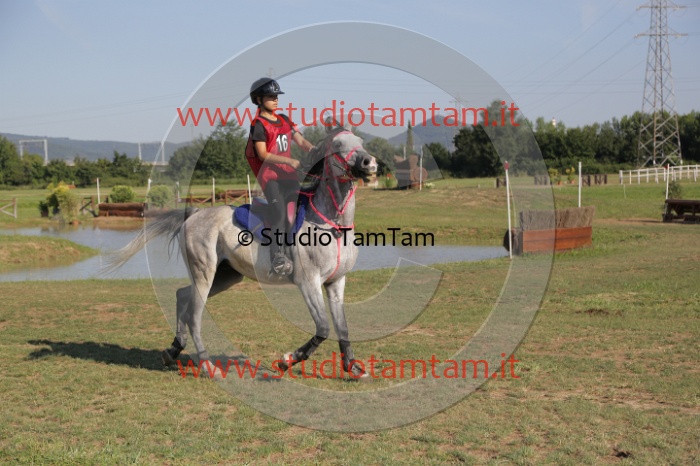 MAT_3491.JPG