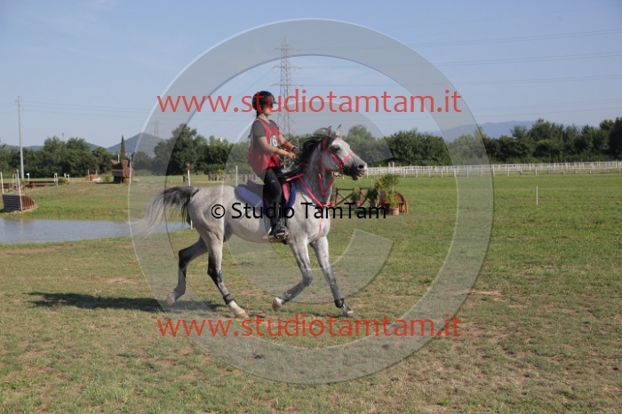 MAT_3492.JPG