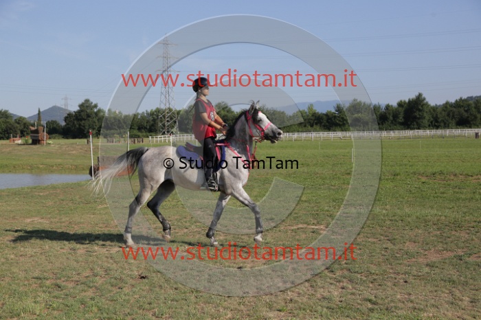 MAT_3493.JPG