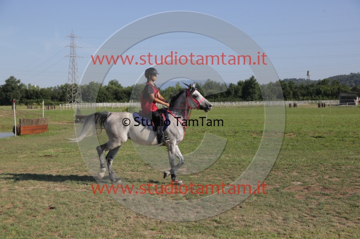 MAT_3494.JPG