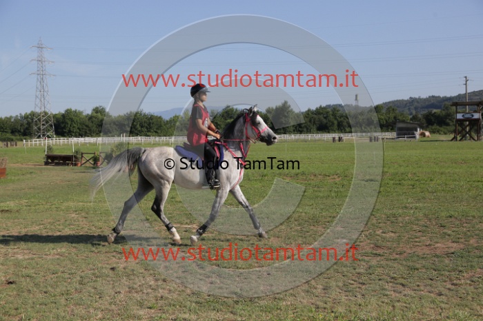 MAT_3495.JPG