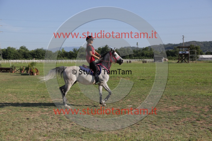 MAT_3496.JPG